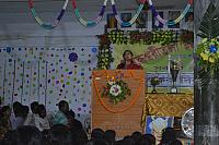 DSC 0513