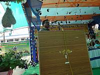 DSC02884