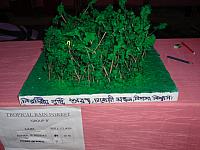 DSC01931