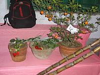 DSC01944
