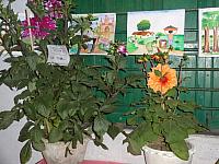 DSC01946