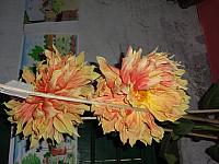 DSC01947